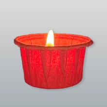 BIO lichtje rood dsx280 ca.3,5uur
