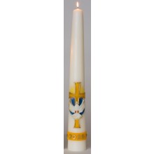 Huispaaskaars 60cm A Duif Wereldbol